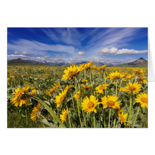 Cartão Montanha Rochosa