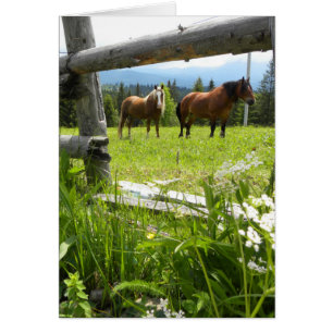 Cartão Montanhas Carpathian - Ucrânia