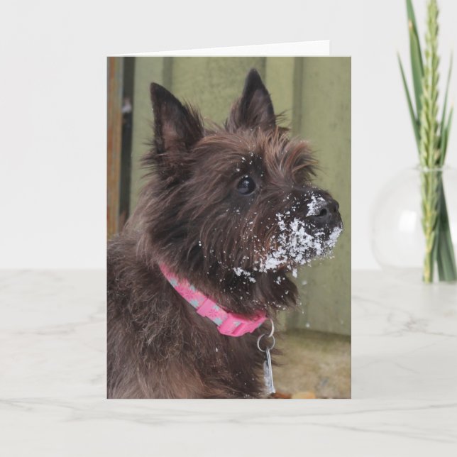 Cartão Monte de pedras na neve (Frente)