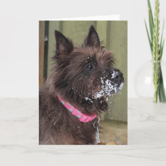 Cartão Monte de pedras na neve