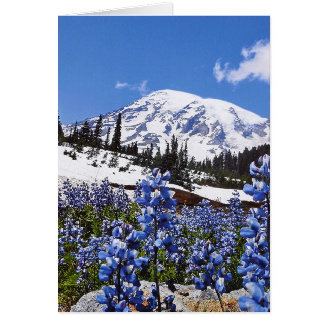 Cartão Monte Rainier no Paraíso (Frente)