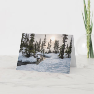 Cartão Monte Washington, Colúmbia Britânica