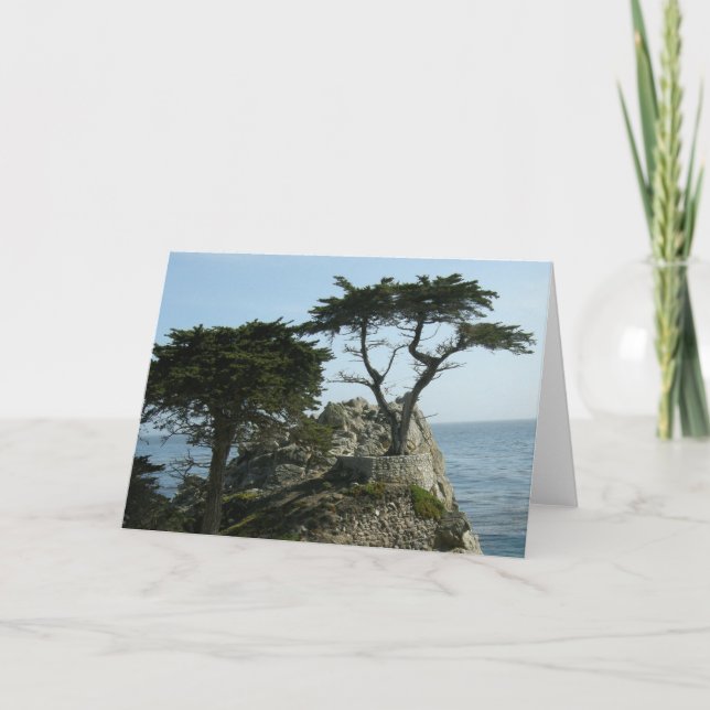 Cartão Monterey Cypress Greeting Card (Frente)