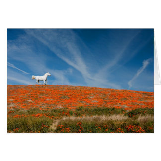 Cartão Monty em vôo