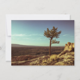 Cartão Monumento Nacional El Malpais