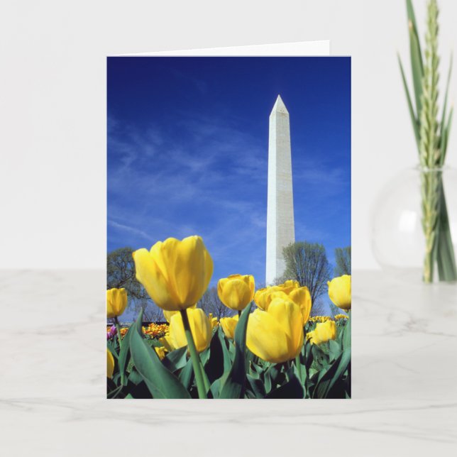 Cartão Monumentos | Monumento a Washington em Primavera (Frente)