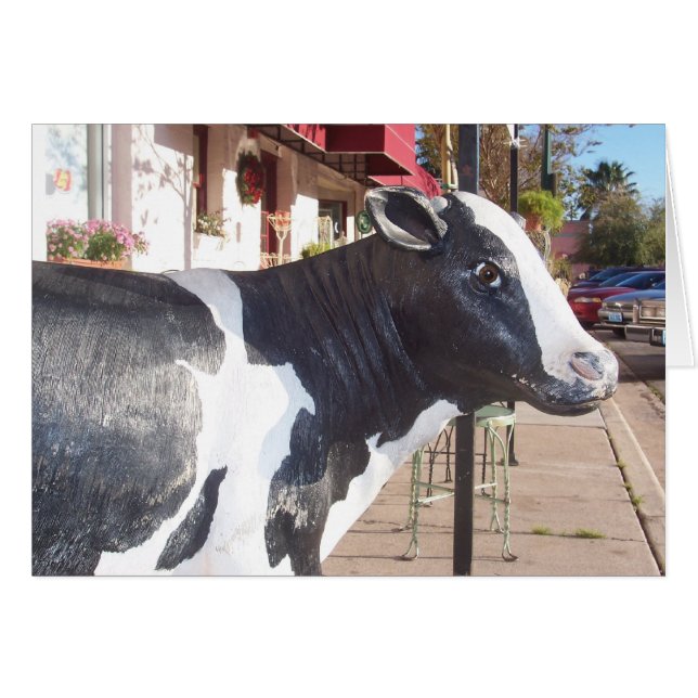 CARTÃO MOO (Frente Horizontal)