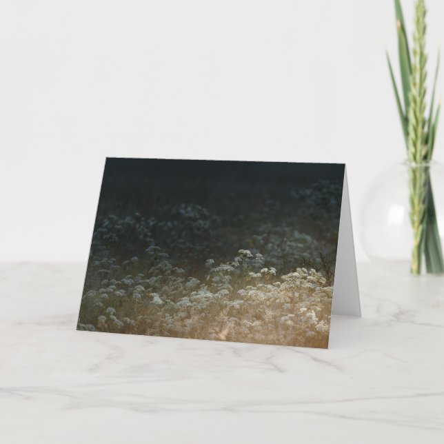 Cartão Moody meadow (Frente)