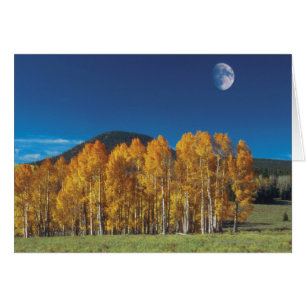 Cartão Moon sobre uma paisagem, Navajo do vale do