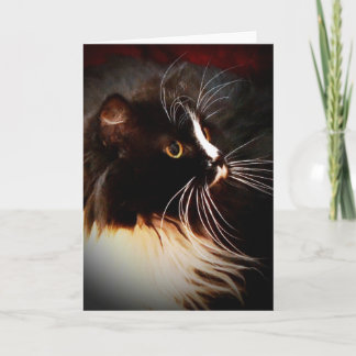 Cartão Moonbeam - Custom Note Card