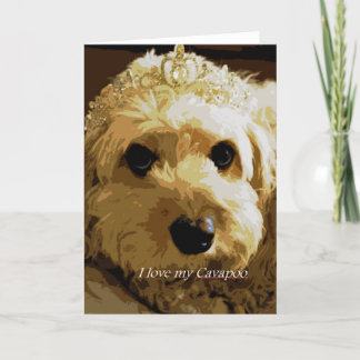 Cartão Mooncards, Cavapoo, Princess, Pet Greeting Card