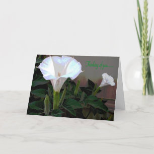 Cartão Moonflower que pensa de você