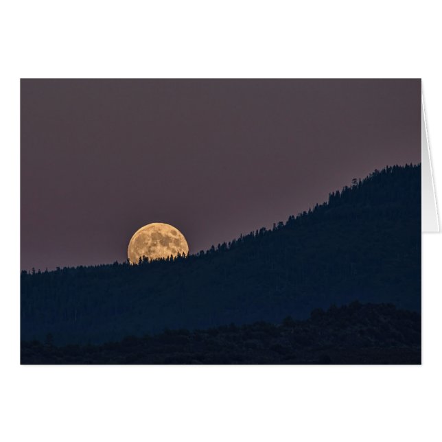 CARTÃO MOONRISE (Frente Horizontal)