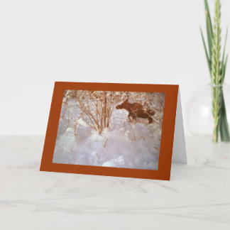Cartão Moose in Alaska Blank Greeting Card