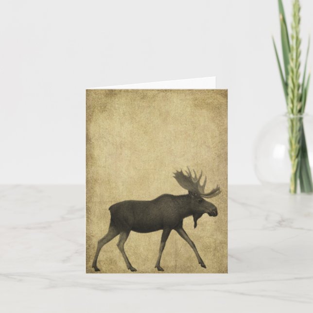 Cartão Moose On The Loose- Prim Lil Note Cards (Frente)