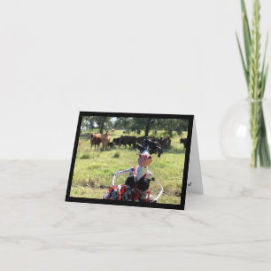 Cartão Mootilda will get you in a good MOOd