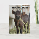 CARTÃO MOOVALOUS YOU ARE **18** BIRTHDAY CARD<br><div class="desc">CHANGE THE AGE IN SECONDS AND I HAVE MADE IT FOR OTHER AGES RIGHT HERE AT THIS STORE AND KIDNONNA AS WELL. THANKS FOR STOPPING BY ONE OF MY EIGHT STORES :)</div>