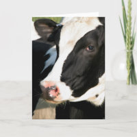 Mooving on Up!
