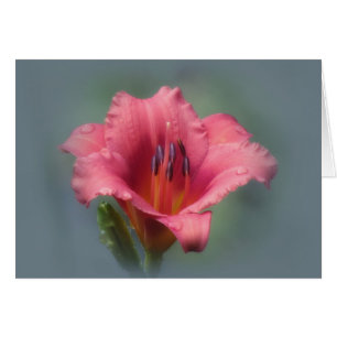 Cartão Morango e azul - hemerocallis