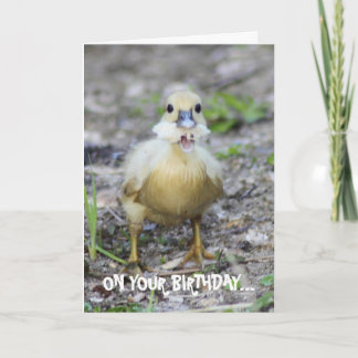 Cartão Morde mais do que pode mastigar