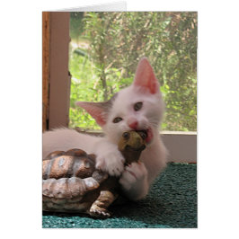 Cartão Mordida de Amor