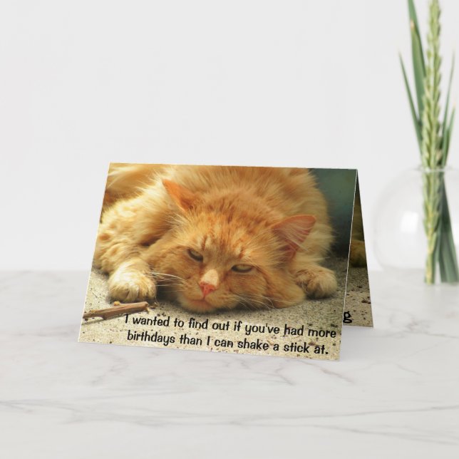 Cartão More Birthdays Than You Can Shake a Stick At (Frente)