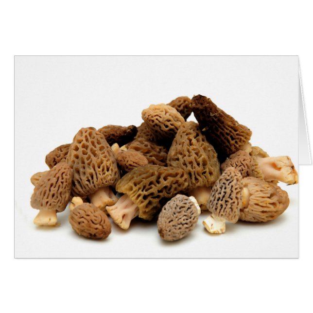 Cartão Morel Mushroom (Frente Horizontal)