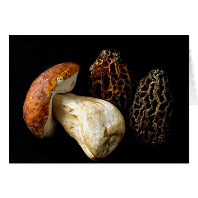 Cartão Morels e o Rei Bolete (Frente horizontal)