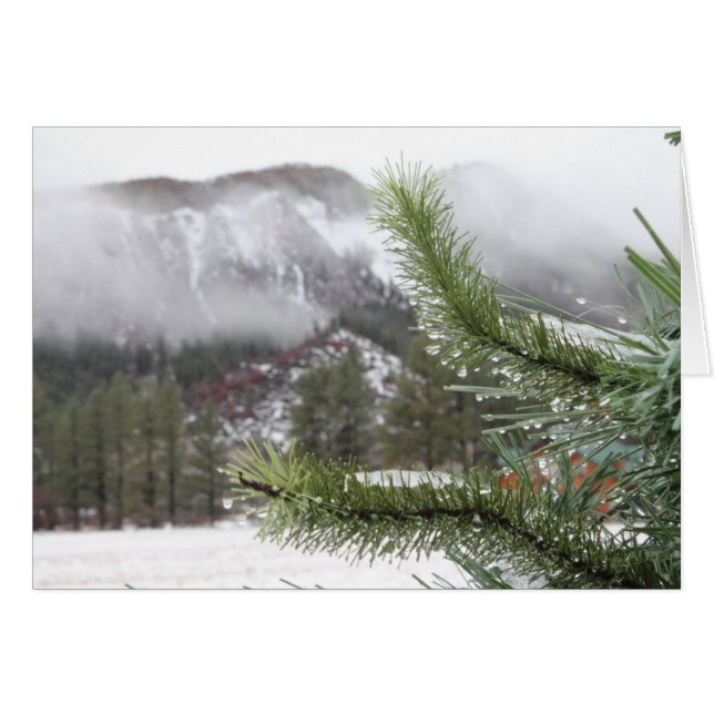 Cartão Morn do inverno Frio (Frente Horizontal)