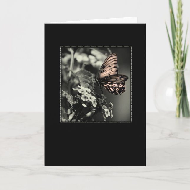 Cartão Morning (Frente)