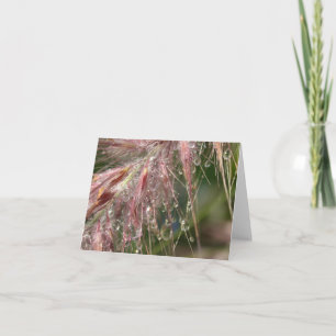 Cartão Morning Dew Note Card