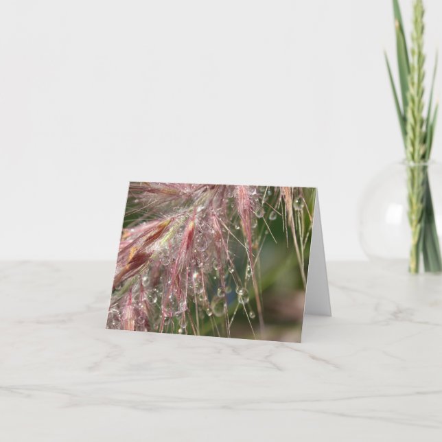 Cartão Morning Dew Note Card (Frente)