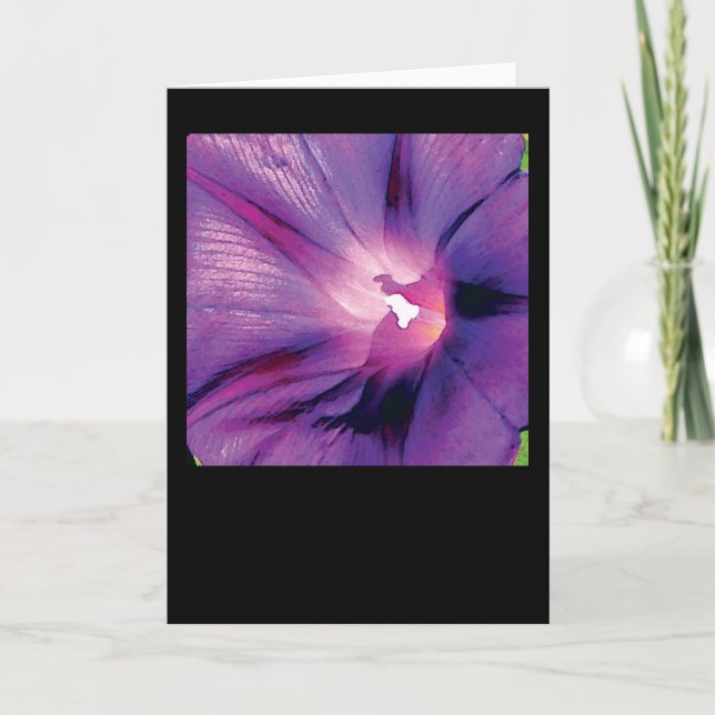 Cartão Morning Glory (Frente)