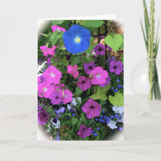 Cartão Morning Glory Blank Greeting Card