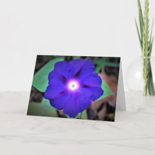 Cartão Morning Glory, card