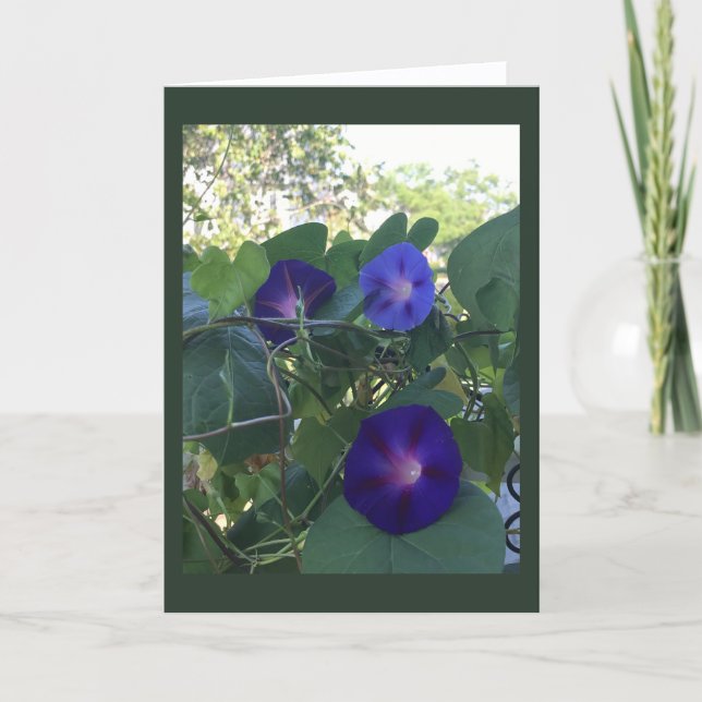 Cartão Morning Glory Kaleidoscope Blank  (Frente)
