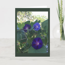 Cartão Morning Glory Kaleidoscópio em Branco