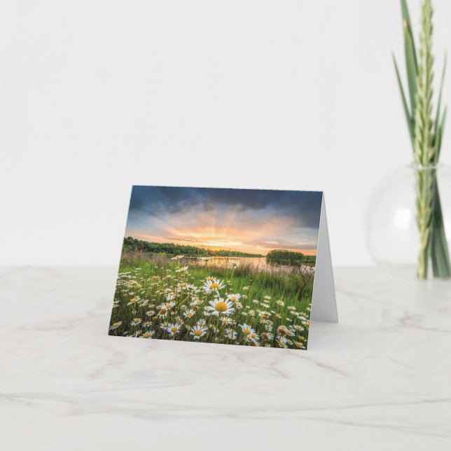 Cartão Morning Glory Note Card (Frente)