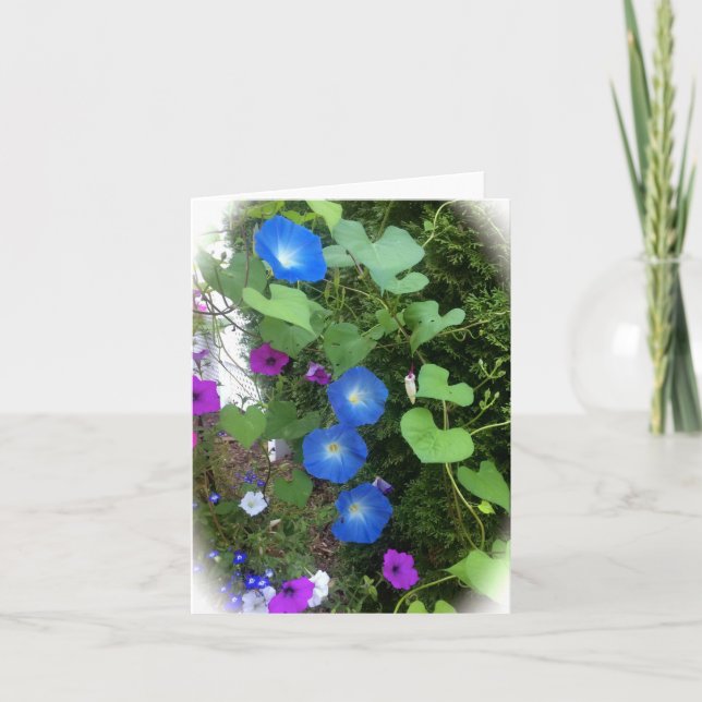 Cartão Morning Glory Summer Blooms Blank Greeting Card (Frente)