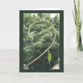 Cartão Morning Glory Tendril and Leaf Blank 