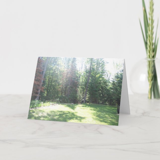 Cartão Morning Light Card (Frente)