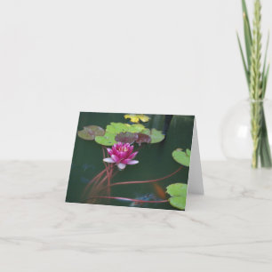 Cartão Morning Lily