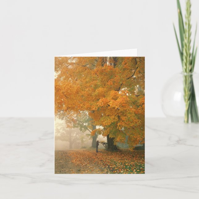 Cartão Morning Mail Note Card (Frente)