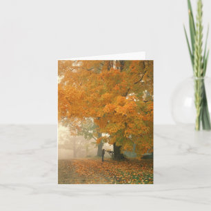 Cartão Morning Mail Note Card