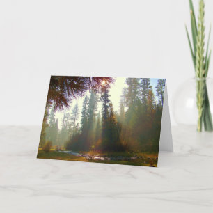 Cartão Morning Mist on the North Fork Photo Greeting Card