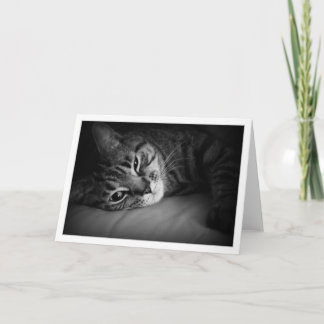 Cartão Morning Wake