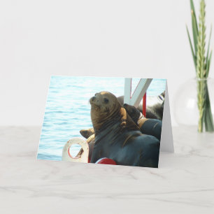 Cartão Morro Bay Seal