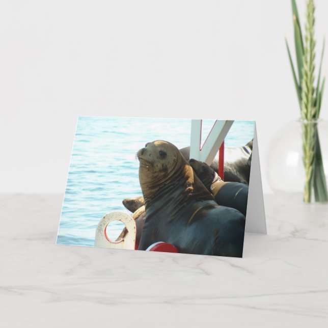 Cartão Morro Bay Seal (Frente)