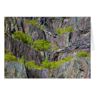 Cartão Mortalha com árvores