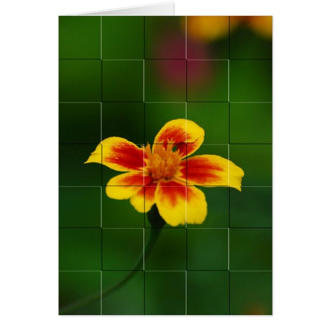 Cartão Mosaico amarelo (Frente)